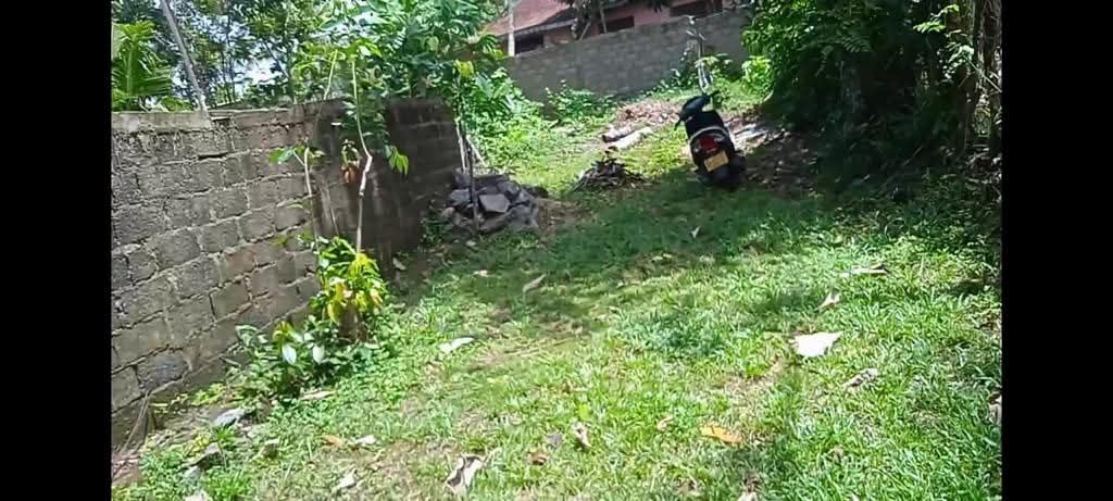 Square 13-Perch Land for Sale in Maggona – Prime Location