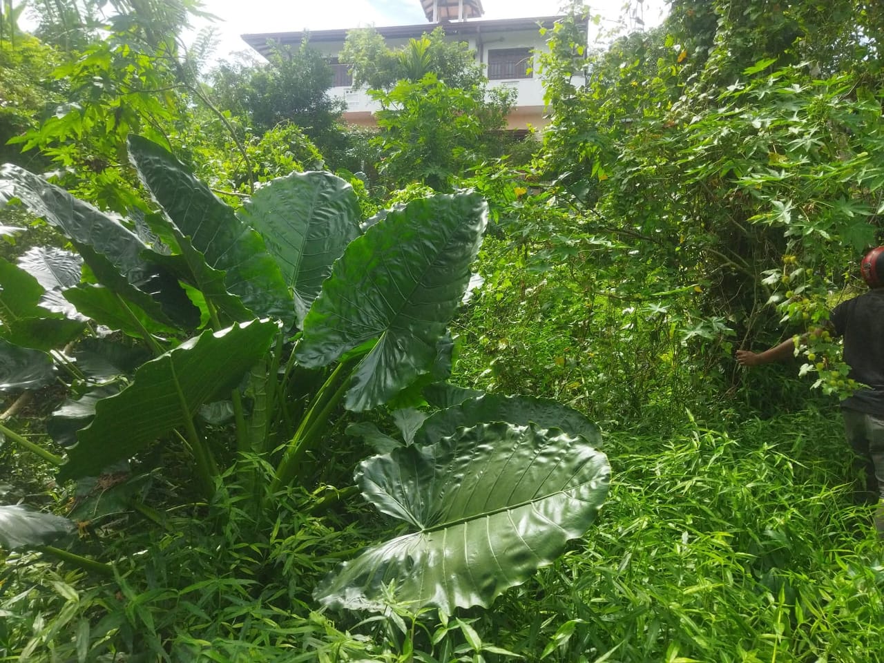 Property Image 5