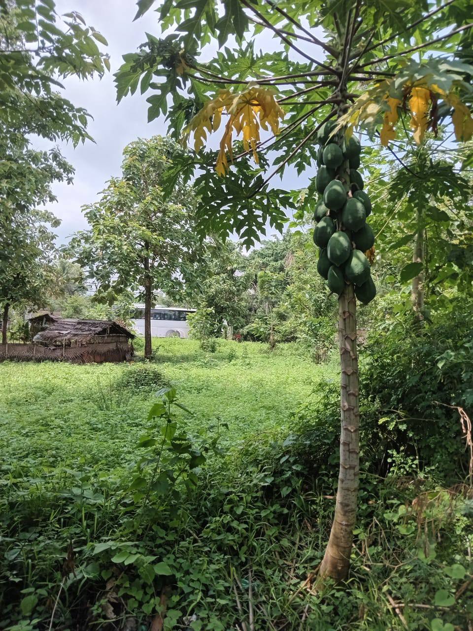 Trending Property in Negombo